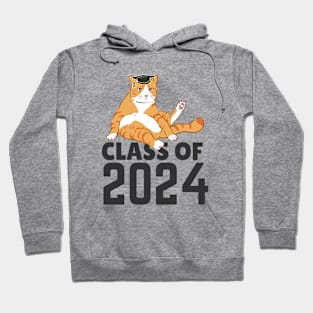 Funny  class of 2024 senior graduation 2024   cat Hoodie